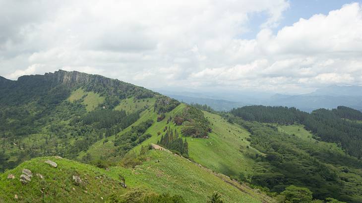 A mountain range covered in grass and trees underneath a cloudy sky