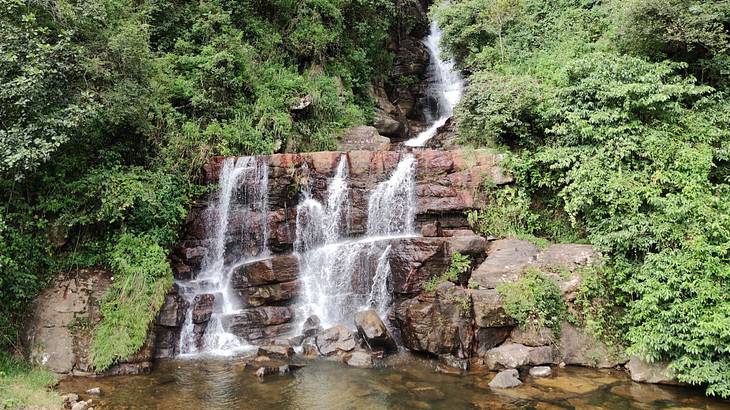 A small waterfall landing on a clear pool surrounded by trees and bushes