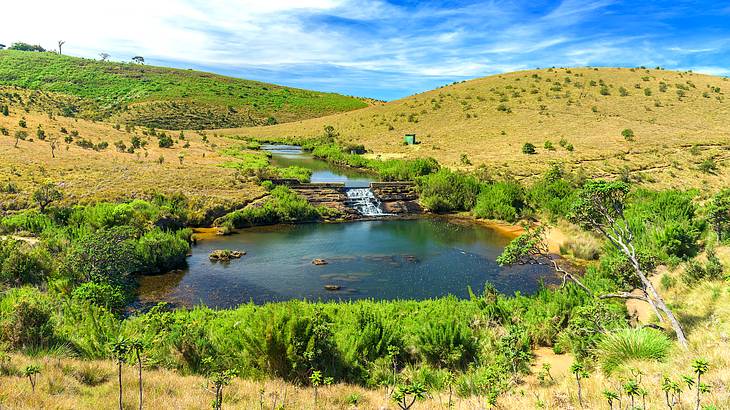 Water flowing into a lake in the middle of lush plains under partially cloudy skies