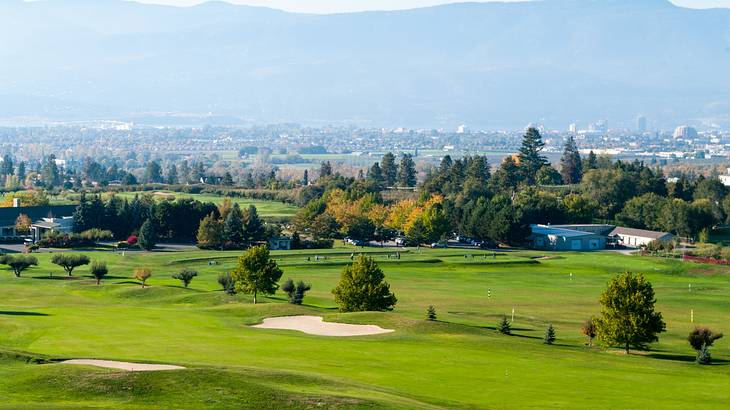 A golf course with sand traps, trees, and some buildings on a nice day