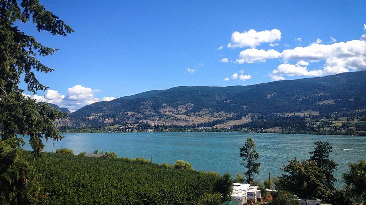 Trees, RVs, and a large lake underneath a partly cloudy sky viewed from above