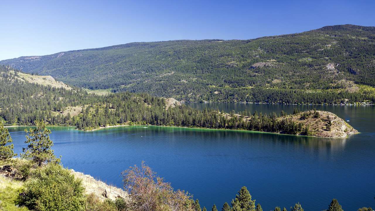 A lake surrounded by forests of trees underneath a clear blue sky