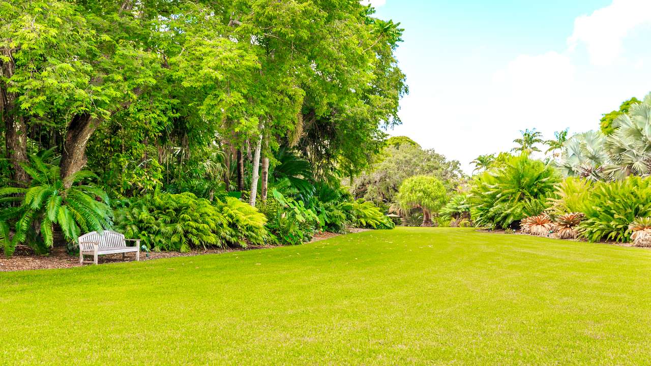 Luscious plants and trees behind a white bench with green grass in front