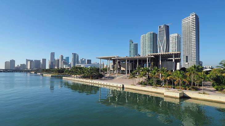 A building with a modern design surrounded by palm trees along the waterfront