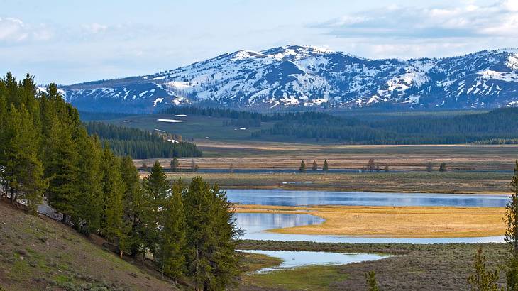 A view over a valley with green trees and water next to a snowy mountain