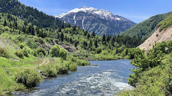 A river flowing between greenery with a snow-capped mountain behind it