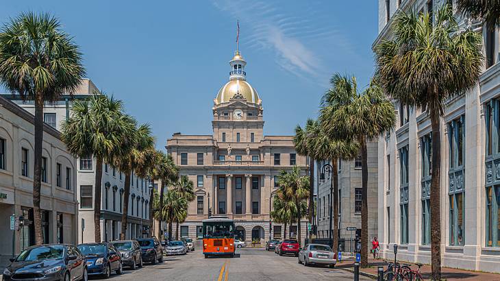 A regal city hall building with a tree-lined street in front of it