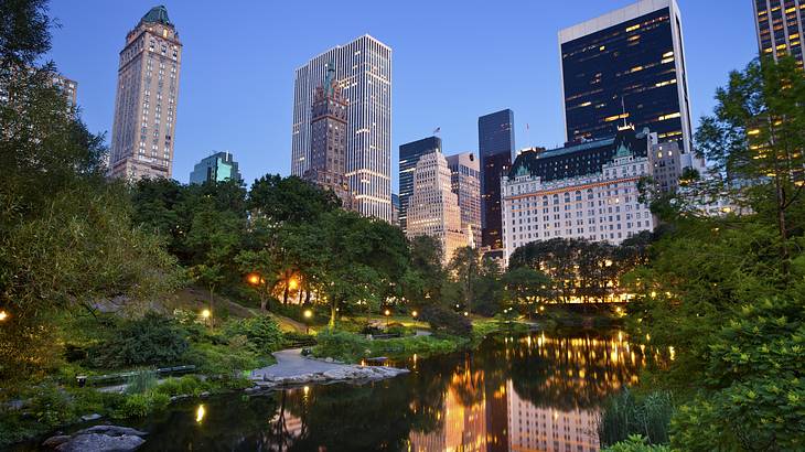 A pond with trees surrounding and skyscrapers in the background at night