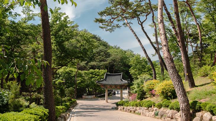 A walkway with greenery on either side and a temple structure in the middle