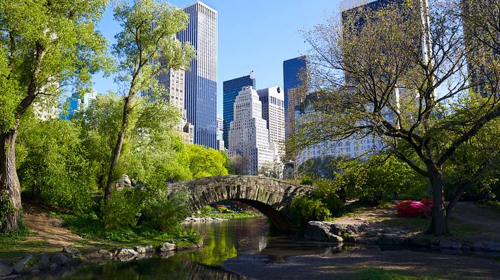 A park with a bridge over some water, trees, and buildings in the background