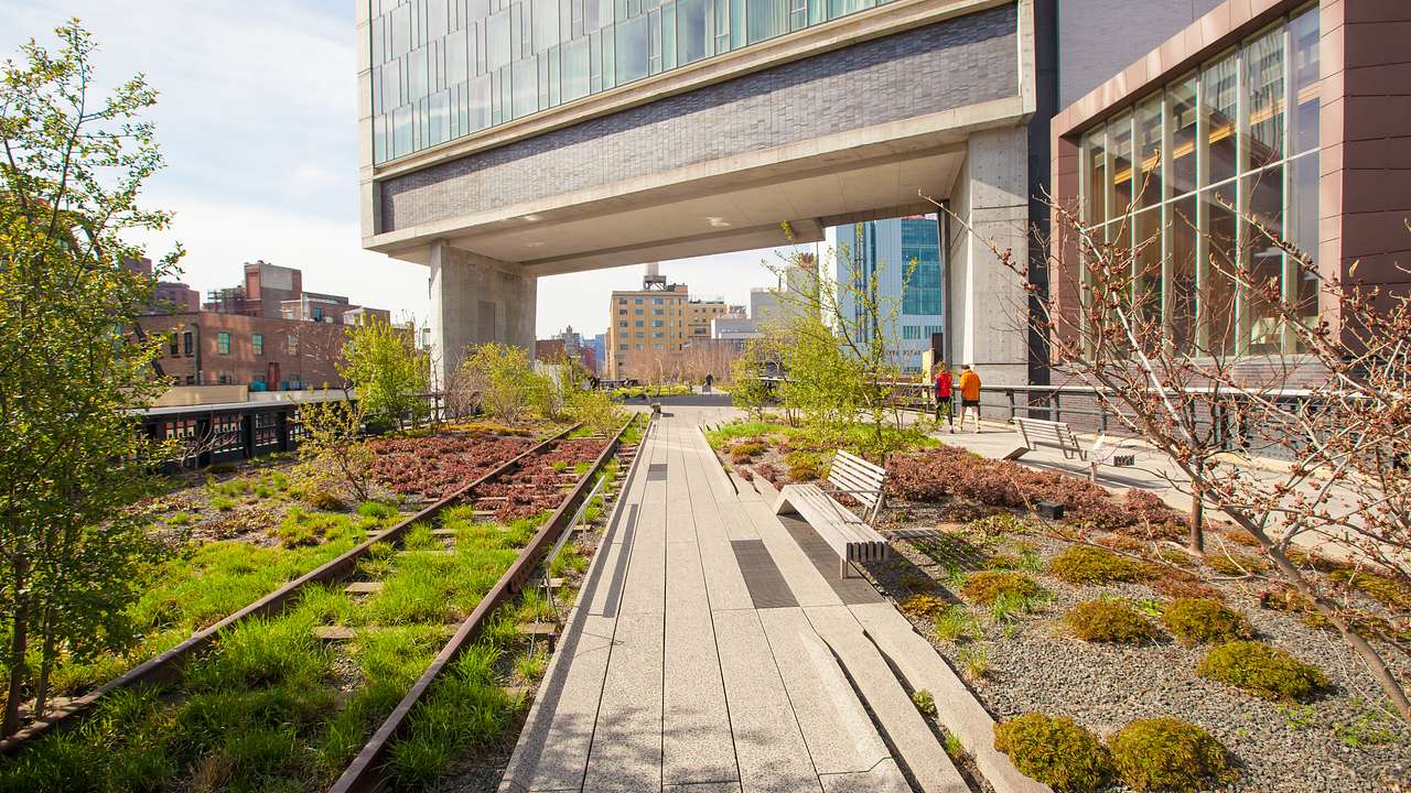 A pathway going through greenery with buildings in the background