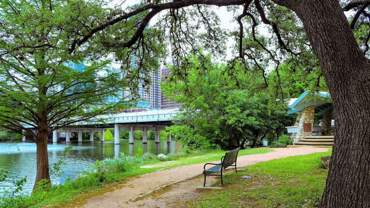 A park bench by a tree and a walking path near a lake with a bridge