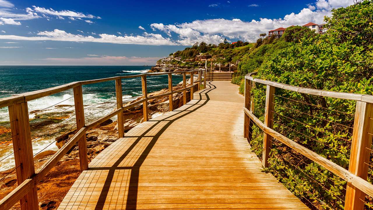 A plank walkway by the beach and trees
