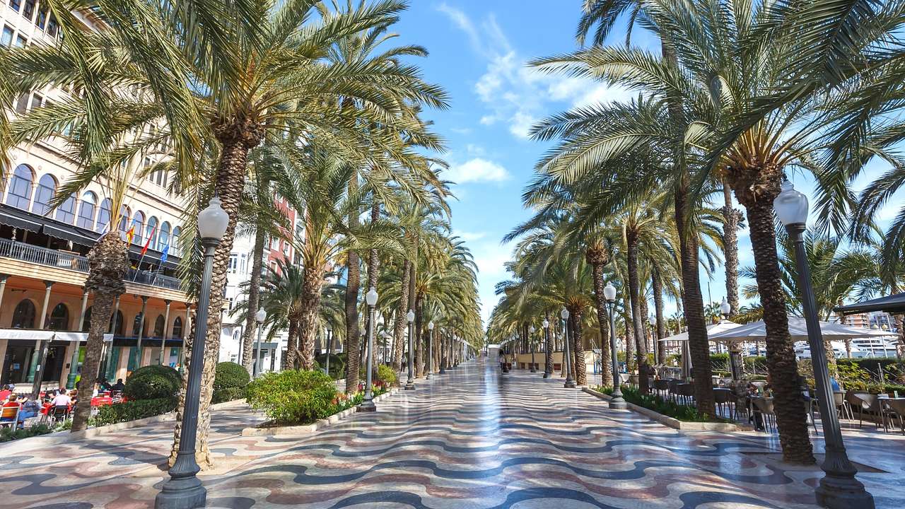 A paved patterned walkway with waves for a design and palm trees lining it