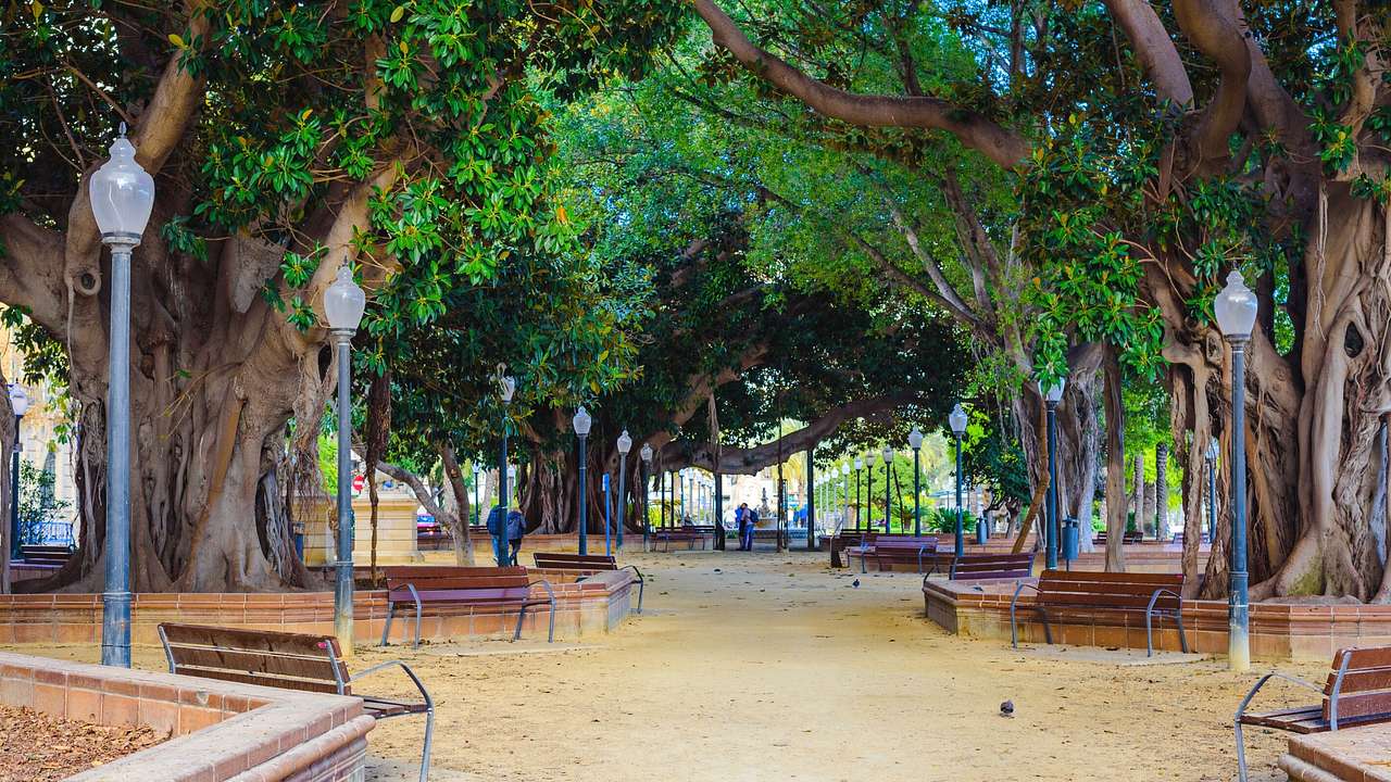 A park with a sandy path that's lined with benches, lampposts, and trees
