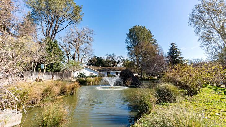 A pond with a fountain surrounded by shrubs and trees, with low buildings at the back