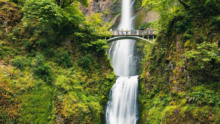 A waterfall streaming down surrounded by greenery with a footbridge in front