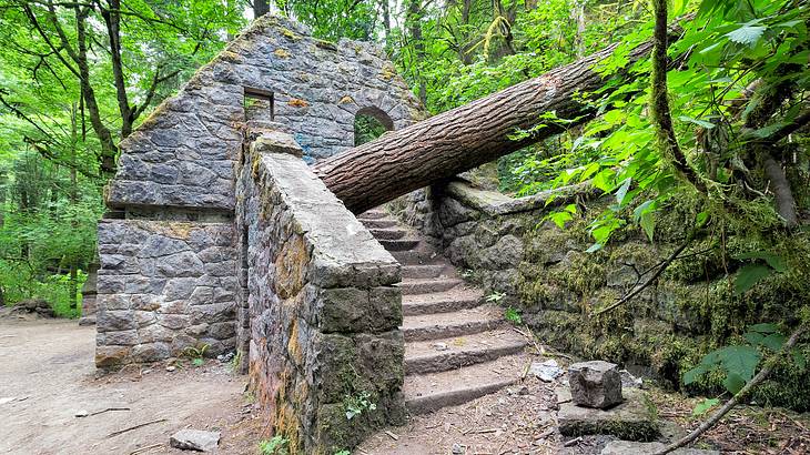 Looking towards stairs to an old stone house with a collapsed tree on it