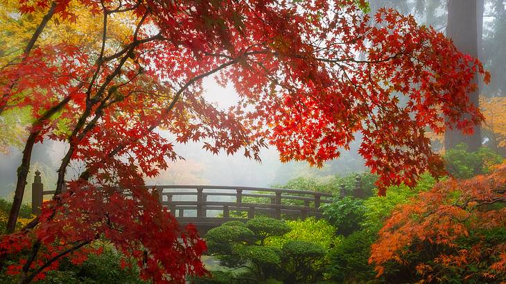 The best time to visit Portland, Oregon, to see the Japanese Garden is in October