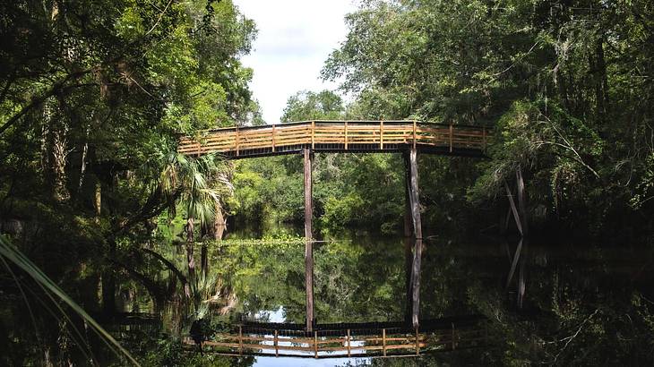 a river with a wooden bridge across it surrounded by green trees