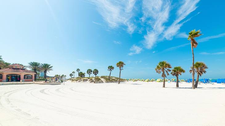 A white sand beach with palm trees and a shack to one side under a blue sky