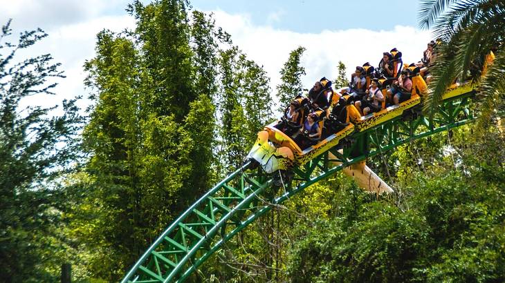 A roller coaster on a track surrounded by green trees