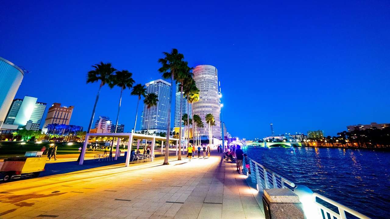 A waterfront path at night next to palm trees and illuminated buildings