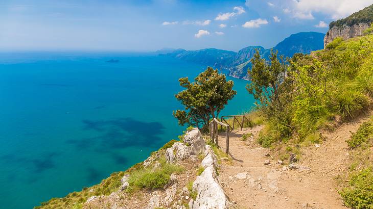 A dirt footpath on the mountain overlooking the ocean