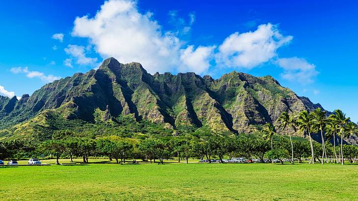 A grassy area next to a mountain under a blue sky with white clouds