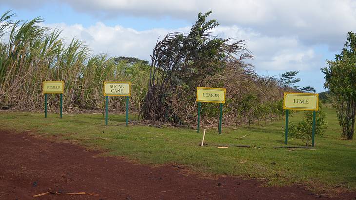A field with signs next to some trees