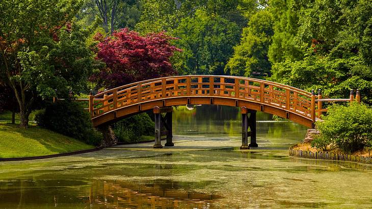 An arch bridge over a pond surrounded by trees