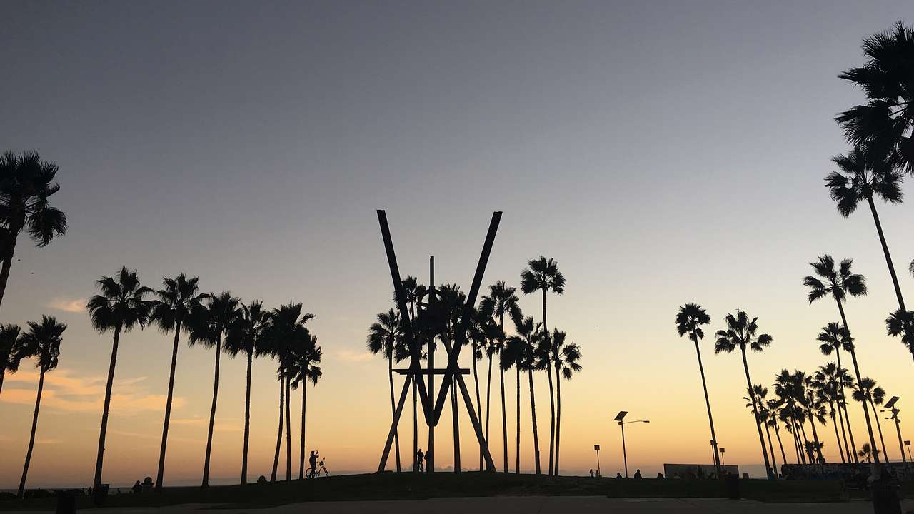 Sunset at a beach with many tall silhouetted palm trees around