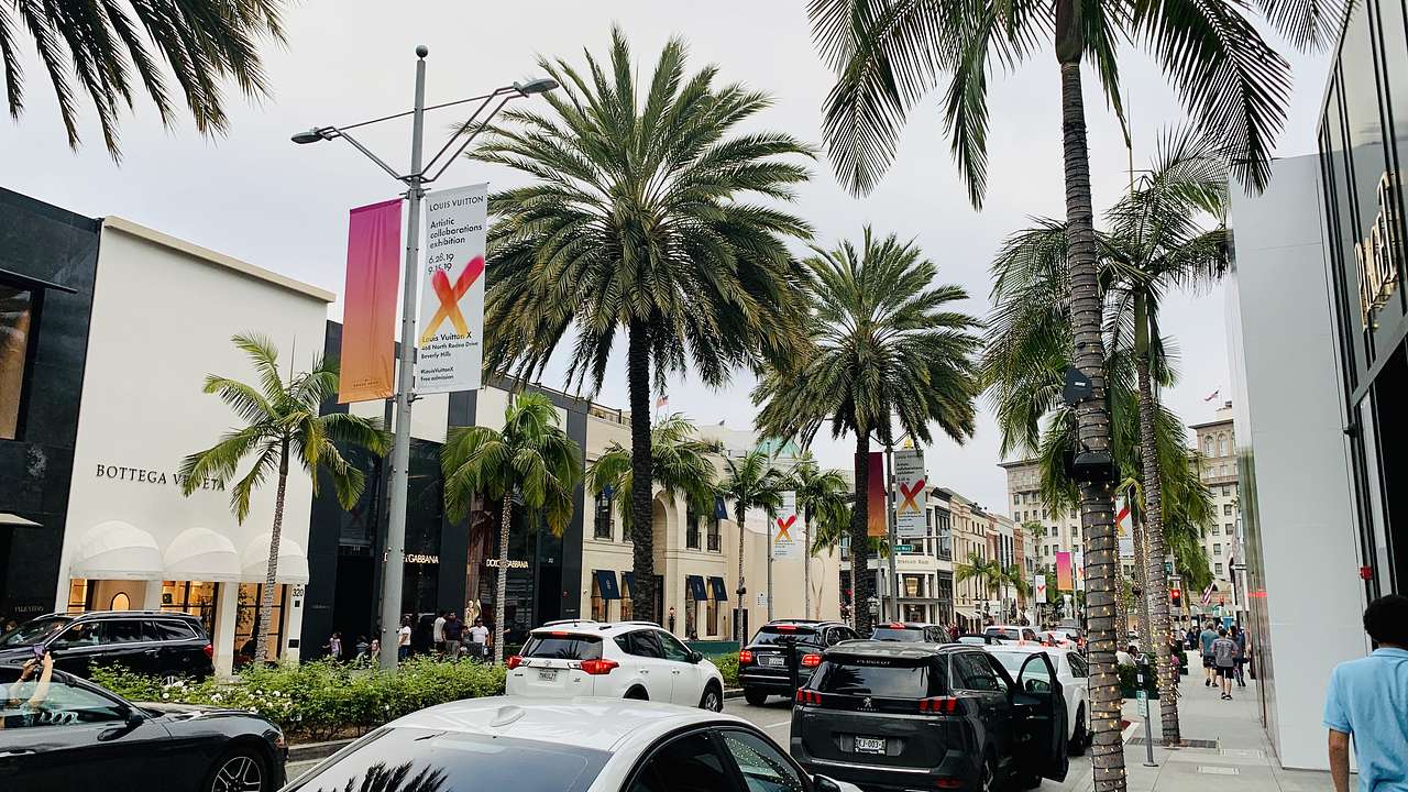 A street lined with buildings, parked cars, and palm trees