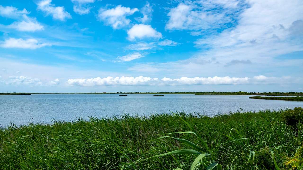 Green grass next to a blue lake under a blue sky with white clouds