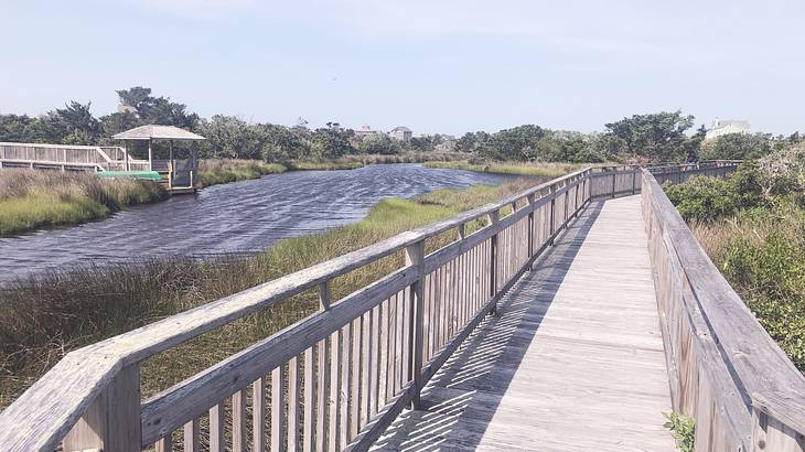 A boardwalk over marshland with water on the left
