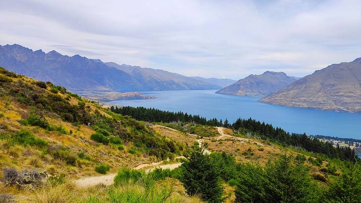 A hillside walking track with views of a lake and lush mountains on a cloudy day