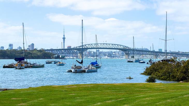 Grass next to a body of water with boats on it and a bridge in the distance