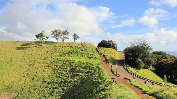 A lush hilly terrain with walking paths and roads