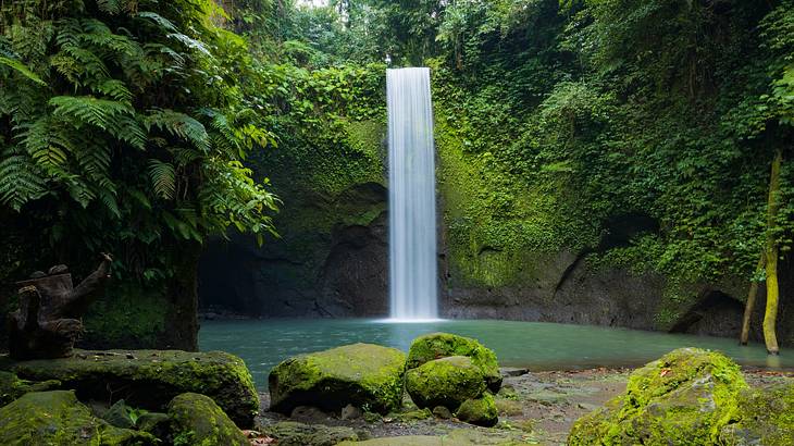 A waterfall flowing into a pool surrounded by plants and greenery-covered rocks