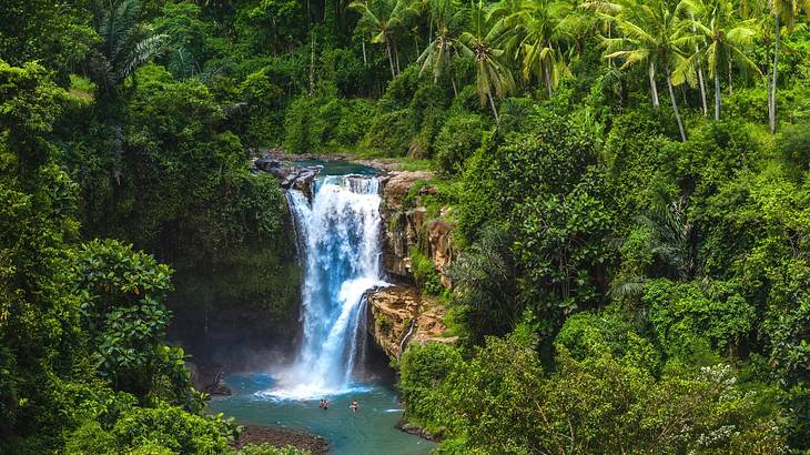 A waterfall flowing into a pool surrounded by greenery