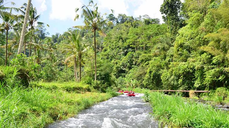 A river with rafts on it surrounded by green jungle