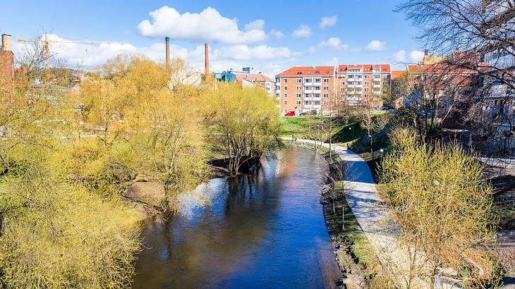 A river near trees and a walkway with buildings in the background