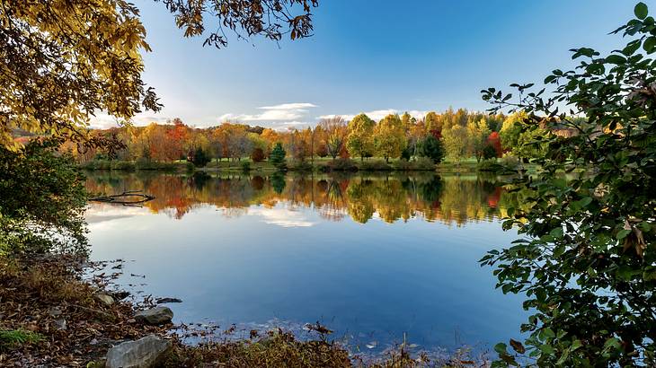 A lake with green and orange trees surrounding it under a blue sky