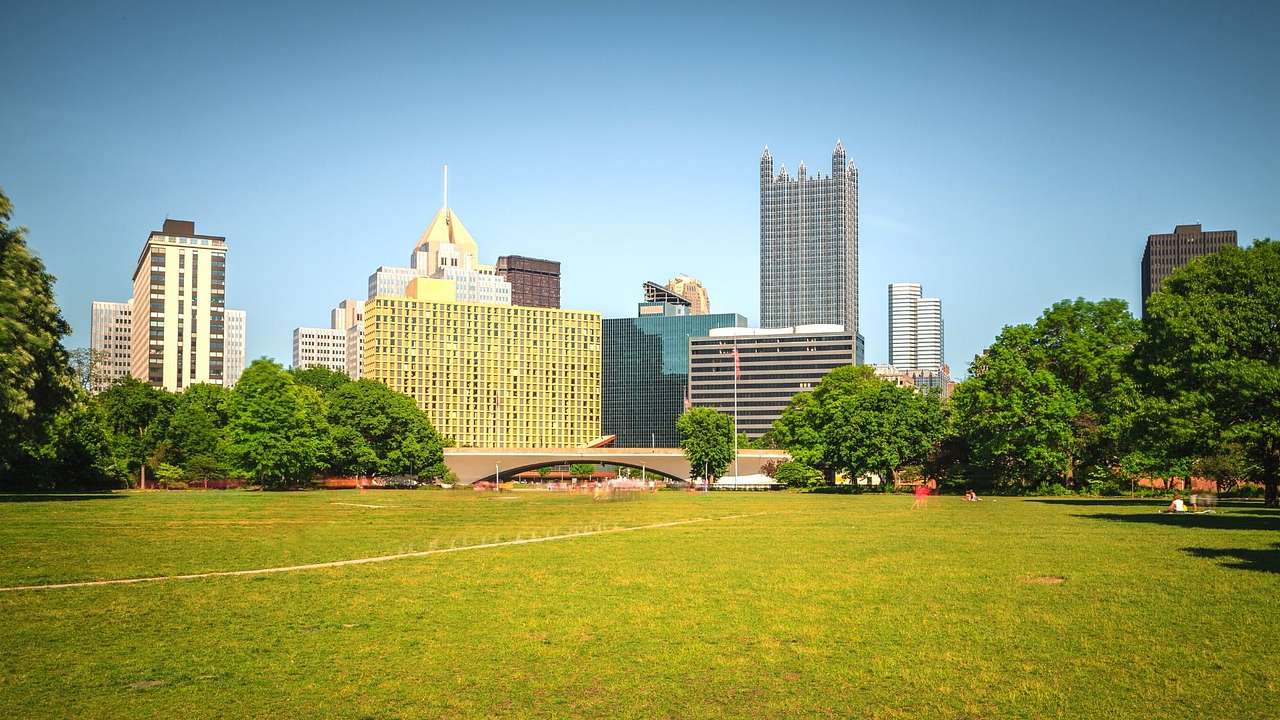 An area of green grass with trees on it and tall buildings behind it