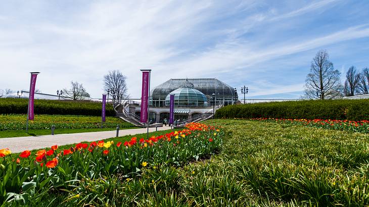 Grass with colored flowers in front of a glass conservatory and purple banners