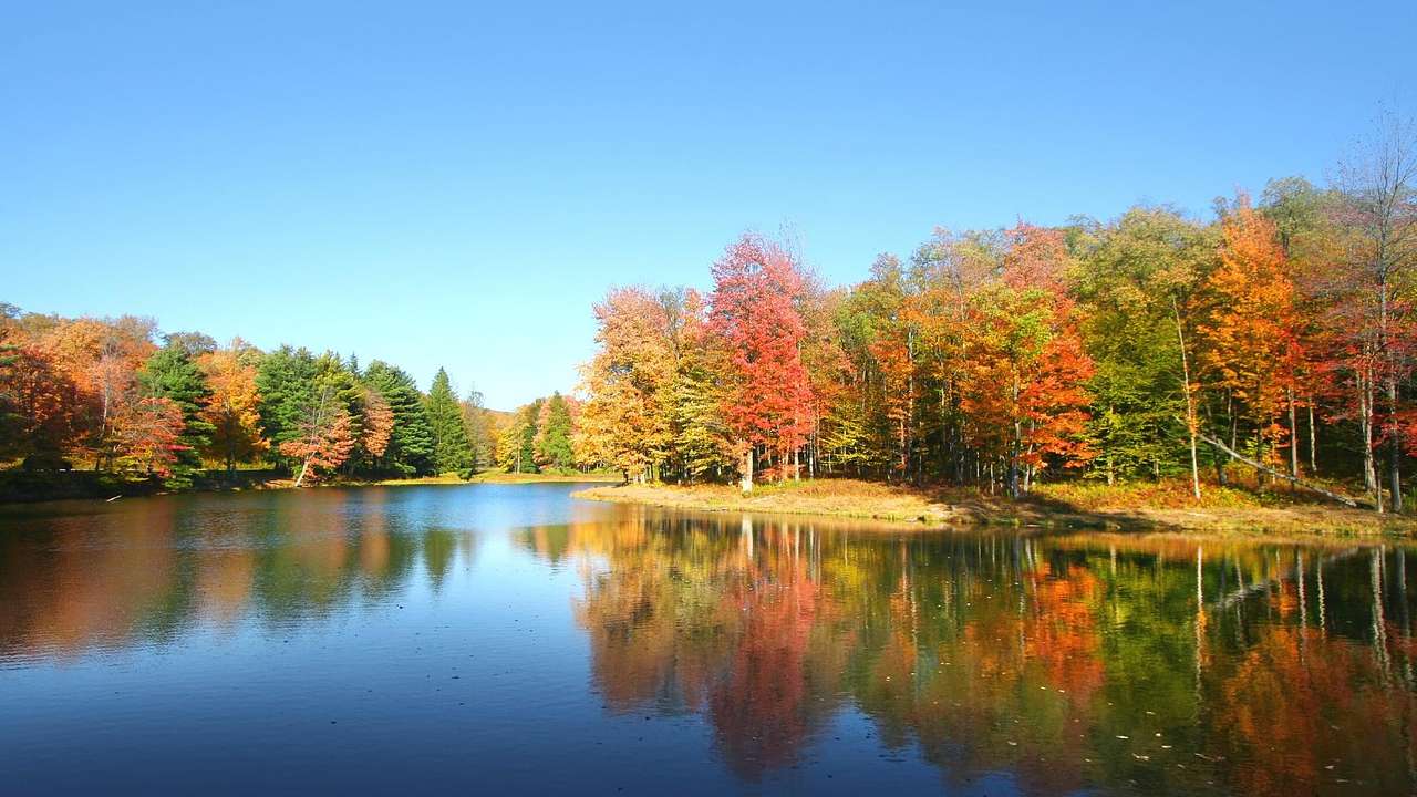 A lake surrounded by green, red, and orange fall trees under a clear sky