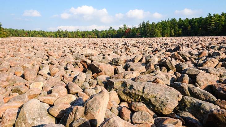 Small boulders covering the ground with green trees and blue sky at the back