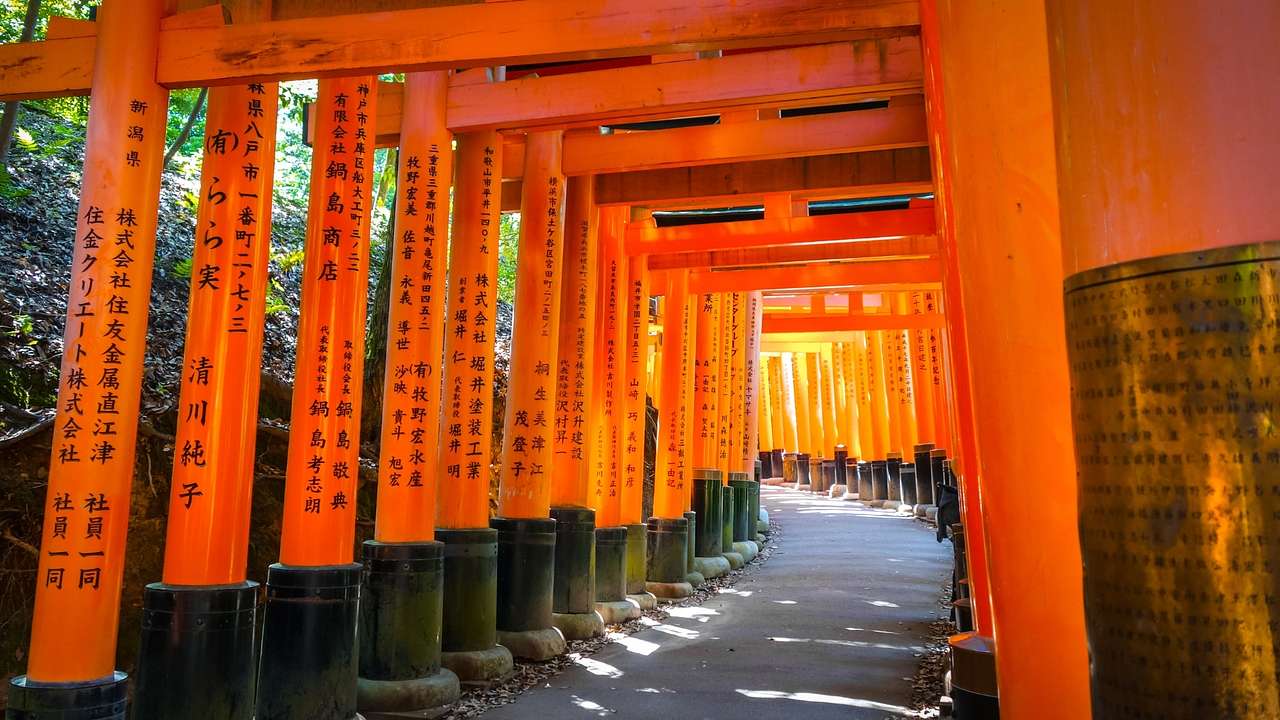 Torii gates, painted vermilion with Japanese characters, along a path walk