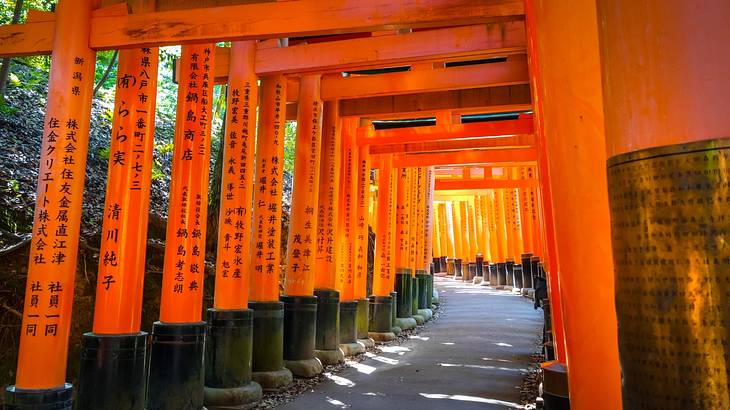 Torii gates, painted vermilion with Japanese characters, along a path walk