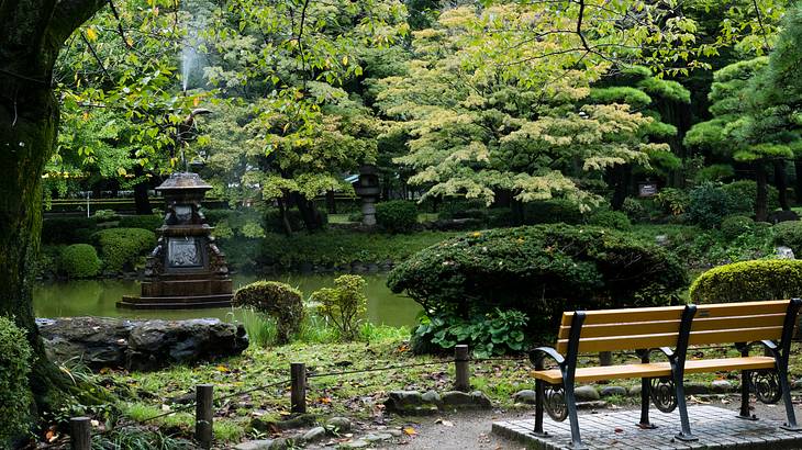 A wooden seat overlooks a pond, which is surrounded by trees and plants